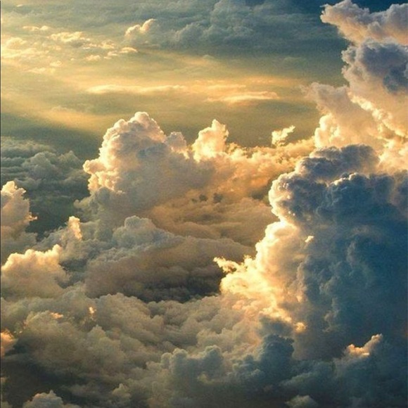 Meet your Posher, Milla - Picture 1 of 1